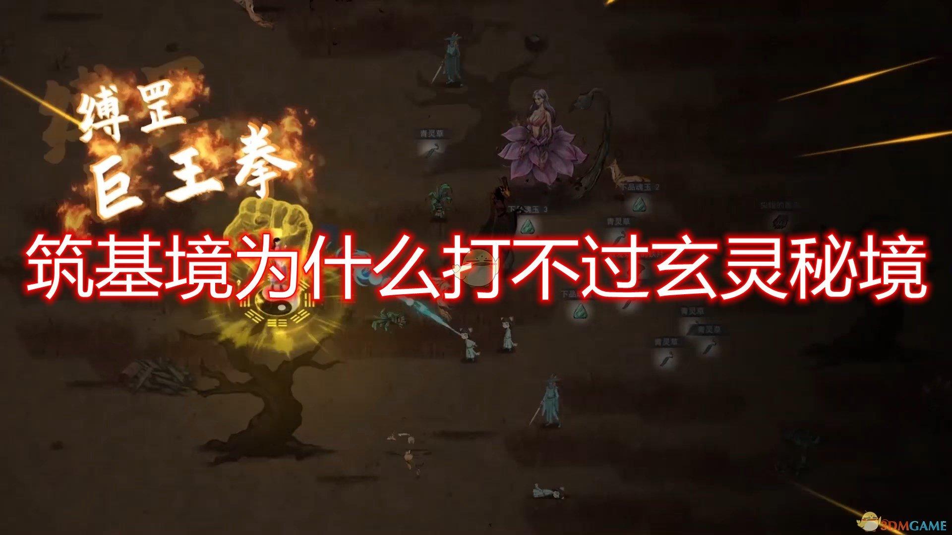 以撒的结合：胎衣